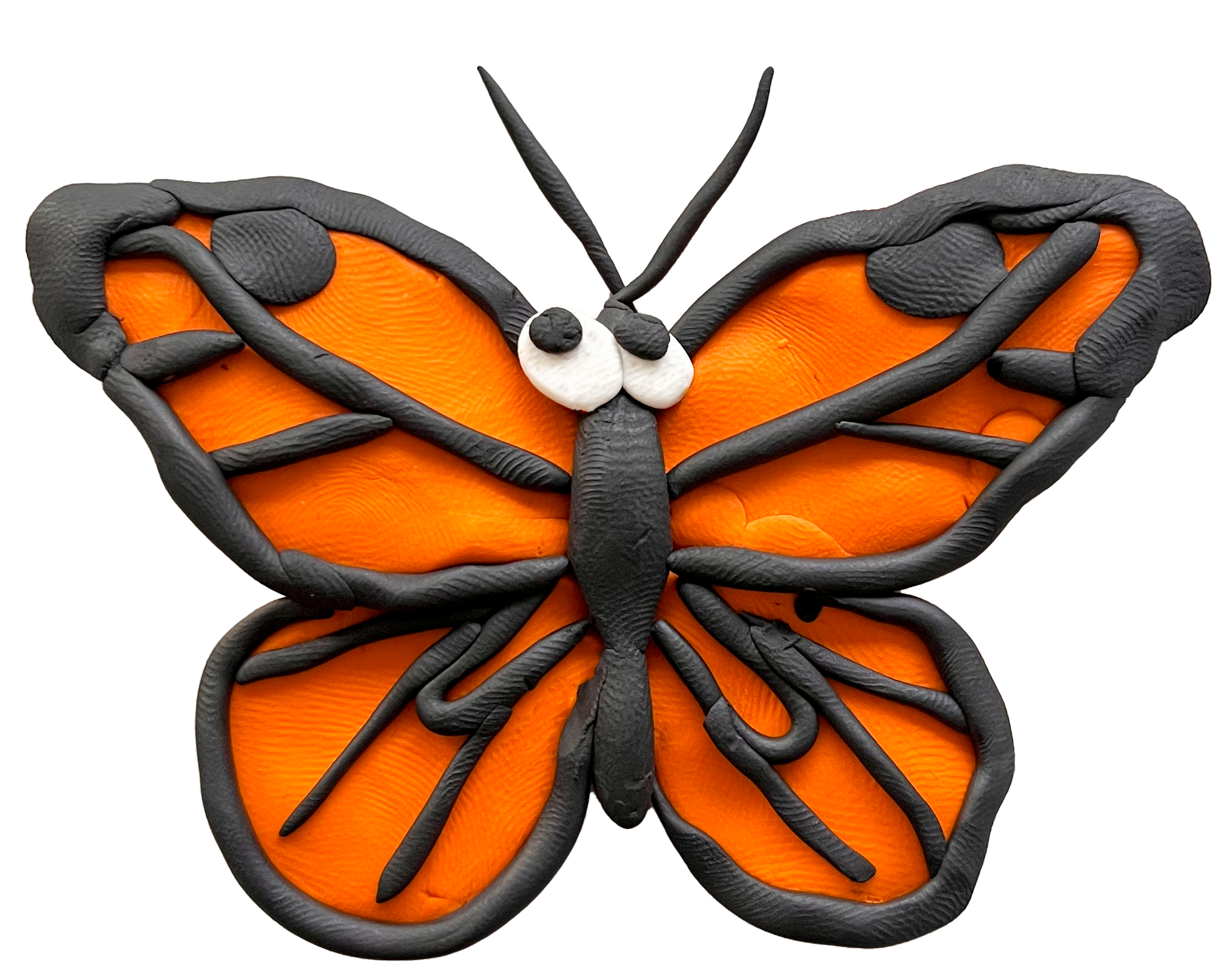 Bugs Next Door project mockup